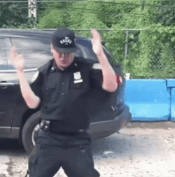 Funny Dancing Cop On The Street GIF
