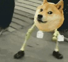 Funny Dancing Skeleton Dog