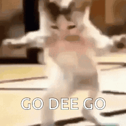 Funny Dancing White Kitten Go Dee Go GIF