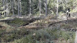 Funny Dirt Bike Roll Over Fall Fail GIF