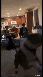 Funny Dog Doing A Flip GIF