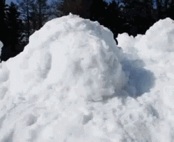 Funny Dog Inside Snow GIF