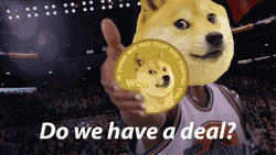 Funny Dog Meme Cool Awesome GIF