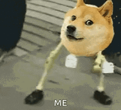 Funny Dog Meme Dancing GIF