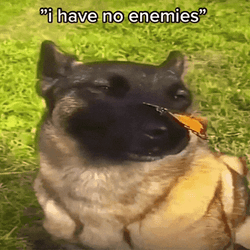 Funny Dog Meme I Have No Enemies GIF