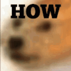 Funny Dog Stare How Meme  GIF