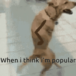 Funny Dog Thinks His Popular  GIF