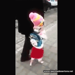 Funny Dog Walking Costume GIF
