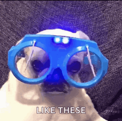 Funny Dog With Weird Sunglasses GIF
