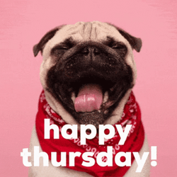 Funny Dog Yawning Happy Thursday Greeting GIF