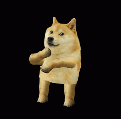 Funny Doge Dog Dancing Meme GIF