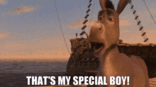 Funny Donkey Special Boy GIF