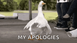Funny Duck Apologetic Dancing Meme GIF