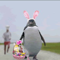 Funny Easter Penguin Running Away