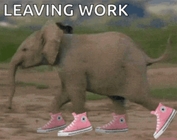 Funny Elephant Leaving Work GIF