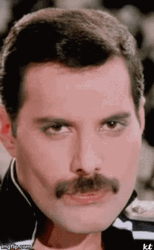 Funny Freddie Mercury Flirty Wink GIF