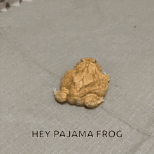 Funny Frog Twerking
