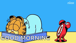 Funny Garfield Wakeup Good Morning