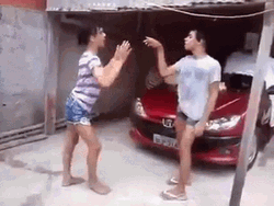 Funny Gay Cat Fight Meme GIF