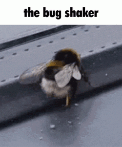 Funny GIF