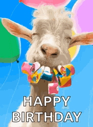 Funny Goat Happy Birthday Meme GIF