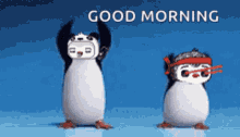 Funny Good Morning Dancing Penguins GIF