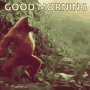 Funny Good Morning Dancing Red Monkey GIF