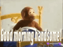 Funny Good Morning Handsome Monkey GIF