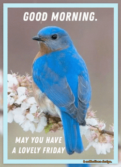 Funny Good Morning Happy Friday GIF