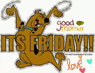 Funny Good Morning Happy Friday GIF