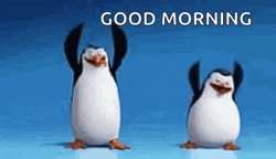 Funny Good Morning Penguin Dance GIF 