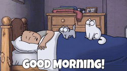 Funny Good Morning Simon's Cat GIF