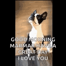 Funny Good Morning Standing And Dancing Dog GIF