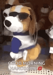 Funny Good Morning Twerking Dog Toy GIF