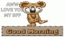 Funny Good Morning Wednesday Bear GIF