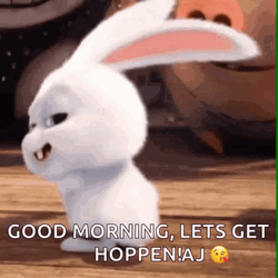 Funny Good Morning Wednesday Cute Bunny GIF