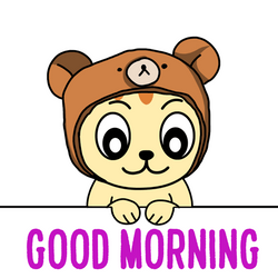 Funny Good Morning Wednesday Cute Kitty GIF