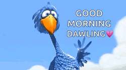 Funny Good Morning Wednesday Dawling GIF
