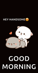 Funny Good Morning Wednesday Handsome GIF