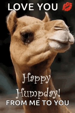 Funny Good Morning Wednesday Kiss GIF