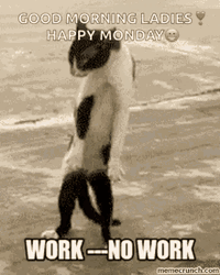 Funny Good Morning Weird Dancing Cat GIF