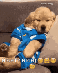 Funny Good Night Dog Yawning Couch Meme GIF