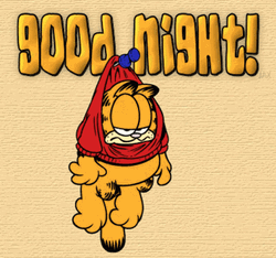Funny Good Night Garfield Cat Hanging Wall