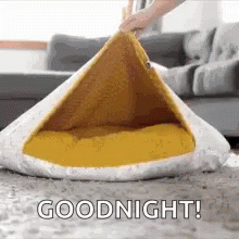 Funny Good Night Pug Dog Sleeping Bed Camp GIF