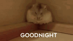 Funny Good Night Sleepy Hamster Fall Rolling GIF