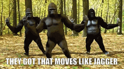 Funny Gorilla Moving Like Jagger GIF
