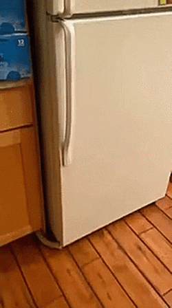 Funny Guy Russian Dance With Beer GIF