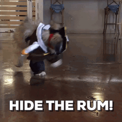 Funny Halloween Cute Puppy Pirate Hide The Rum GIF