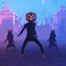 Funny Halloween Dance Pumpkin Head Cats GIF