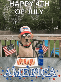 Funny Happy 4Th Of July America GIF